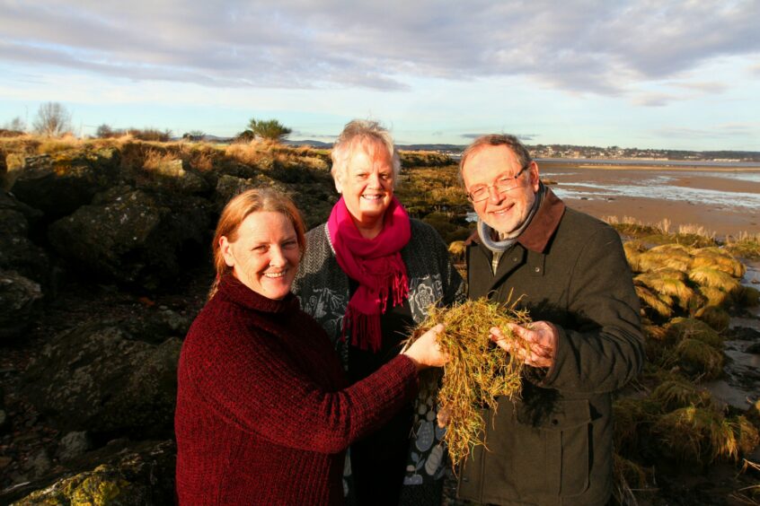 A picture from a few years ago of Dr Clare Maynard (left) planting a variety of salt marsh plants at Tayport Common to create a natural flood defence with former local councillor Maggie Taylor and serving member Tim Brett.