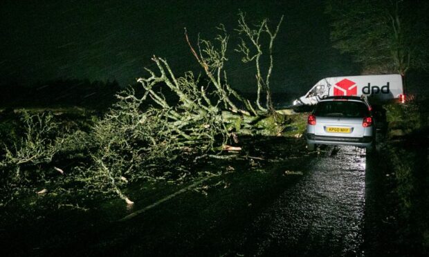 A fallen tree on the A923 near Piperdam.