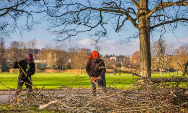 Workers cleaning up the aftermath of Storm Arwen