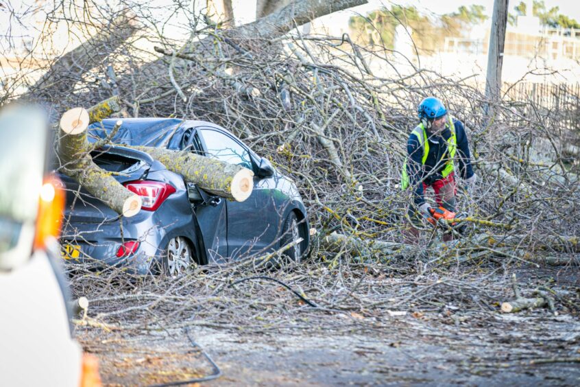 A car was crushed by a tree in St Andrews during Storm Arwen.
