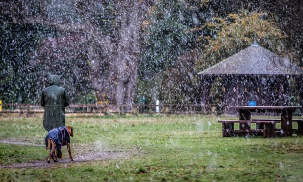 A person and their dog walking through torrential rain at Camperdown Park in Dundee.