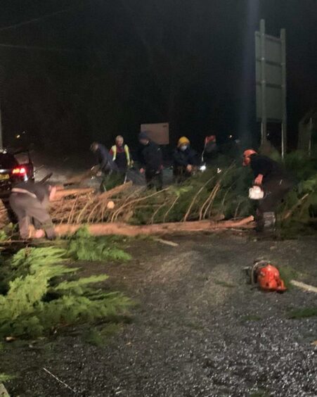 Trees were also blown over in Fife damaging power lines.