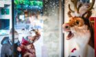Gillies has revealed its Christmas window display, much to the delight of locals.