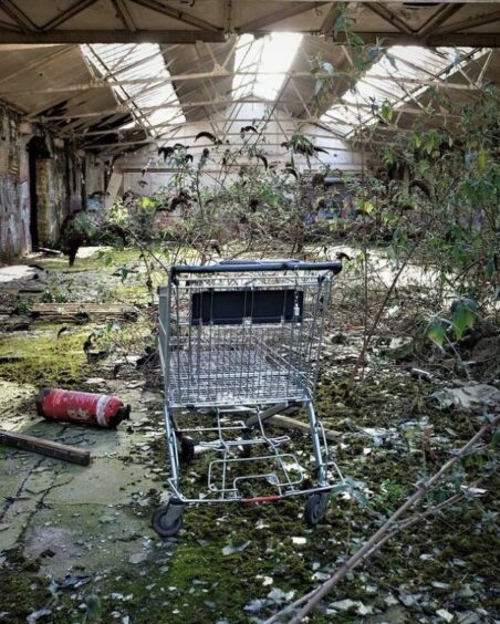 Trolleys have been found.