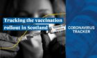 Tracking the vaccination progress