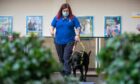 Carol Matheson with 'Vince' in training at the Guide Dogs training centre in Forfar. Picture: Kim Cessford.