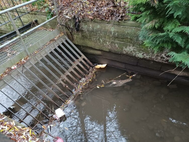 Rubbish along lade walk.