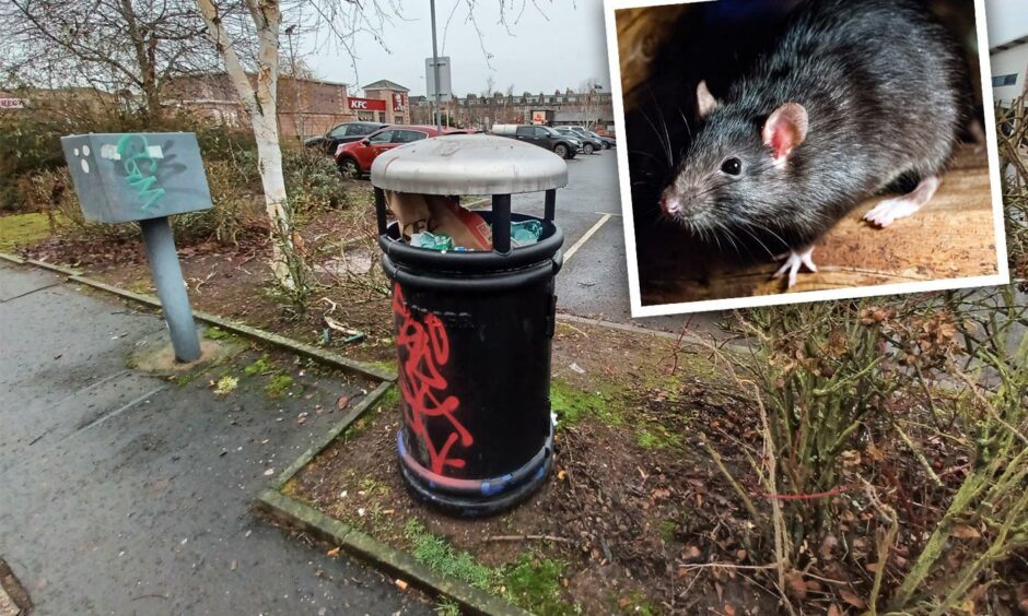 Bins on Perth Lade