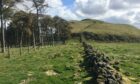 Easter Cairn ahead, Saline Hill