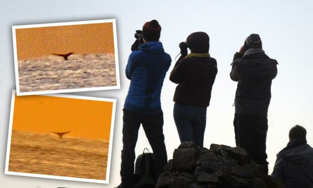 Spectators watching humpack whale in Burtisland, Fife.