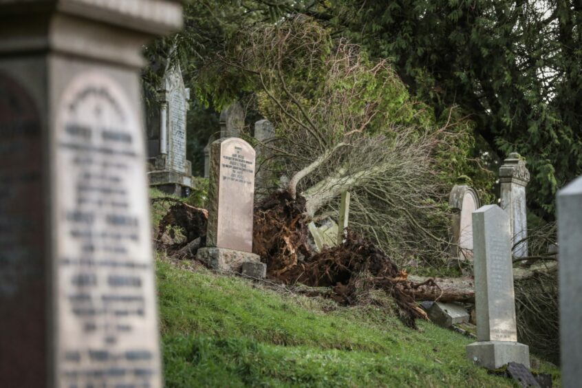 Storm Arwen damage in Balgay Cemetery.