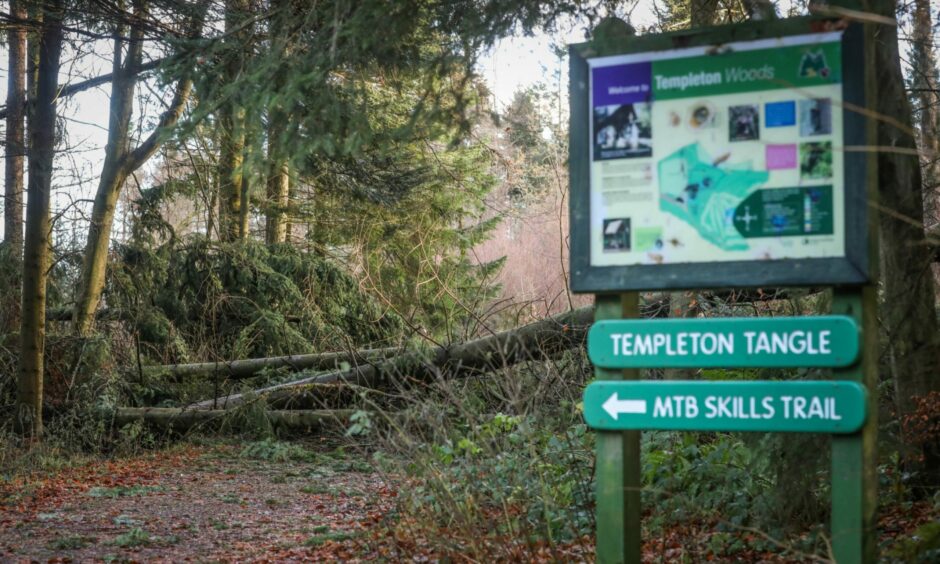 is templeton woods safe