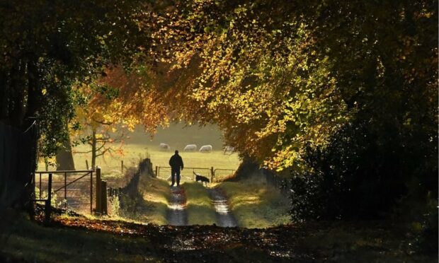 Malcolm McBeath's winning image, Morning Walk.