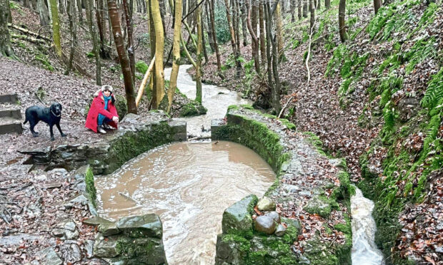 Gayle and her dog Toby check out Lady Kennedy's Bath in Dunnottar Woods.