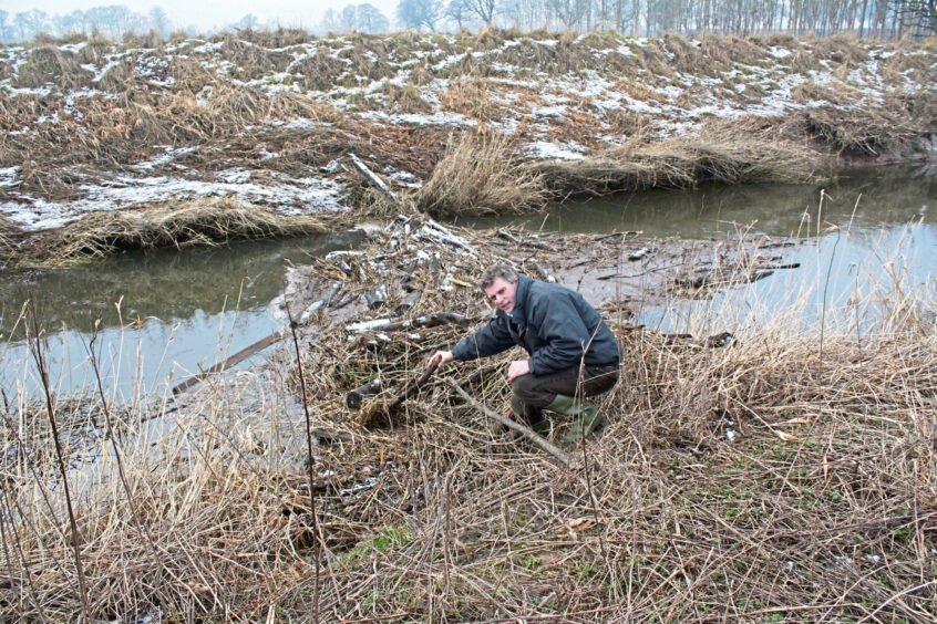 Farmer Adrian Ivory with a beaver dam reaching right across the River Dean near Meigle.