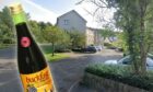 Cameron Burnside flew into a drunken rage during a stay in an Invergowrie Airbnb and sprayed walls with Buckfast.