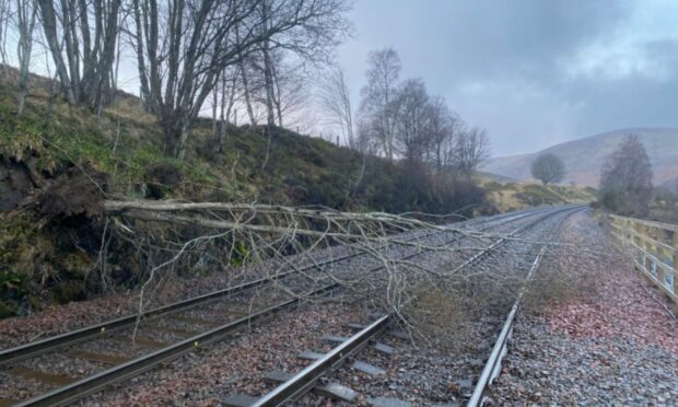 The tree blocking the line. Image: Network Rail Scotland Twitter.