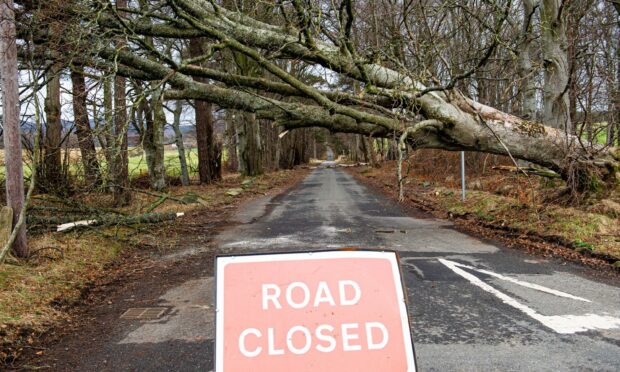 Trees blown down by the recent storms resulted in thousands of householders being left without electricity