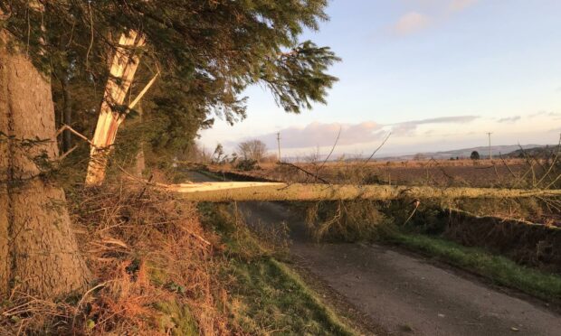 The Whirlies near Forfar was blocked after the recent storms.