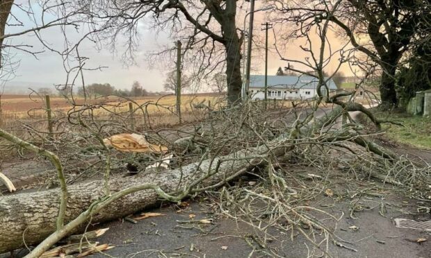 Schools have been closed following storms over the weekend.