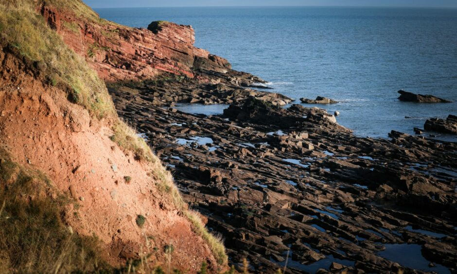 Arbroath Cliffs