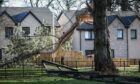 Storm Malik brought a tree down in Foggyley Gardens, Lochee.