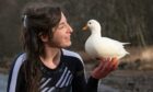 Enya James and Dee Dee the duck. Pic: Tina Norris.