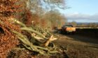 Trees came down on the B966 Brechin to Edzell Road during the latest storms.