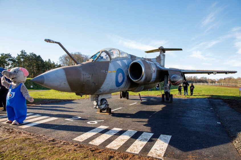 The Deer Centre's Buccaneer sits on a replica runway. Picture. Kenny Smith/ DCT Media