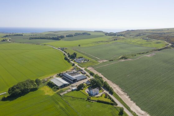 Wester Rarichie Farm in Ross-shire was sold by Strutt & Parker in 2021.