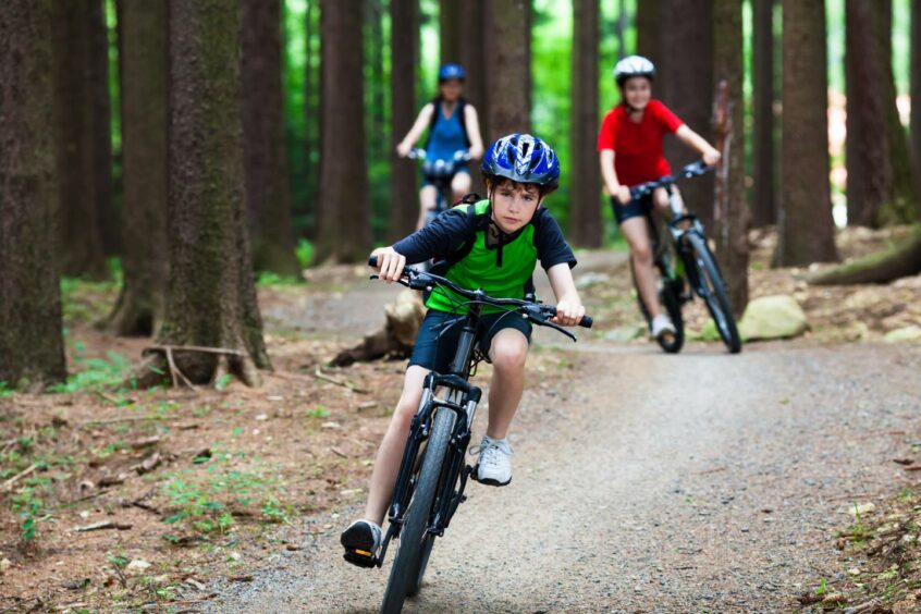 Children cycling in a forest