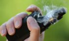 Pupils in primary 3 are among those who have been caught with e-cigarettes in schools across Fife and Dundee this year,