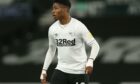 New St Johnstone striker Jahmal Hector-Ingram in action for Derby County. Supplied by Shutterstock