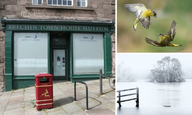 Brechin Photographic Society is staging an exhibition for the re-opening of the town museum.