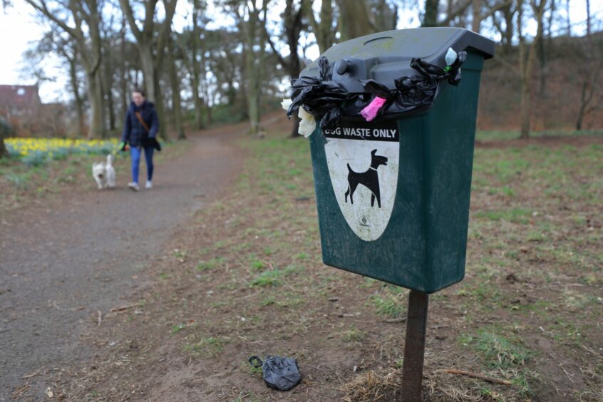 An overflowing dog poo bin in Reres Park, Broughty Ferry, Dundee