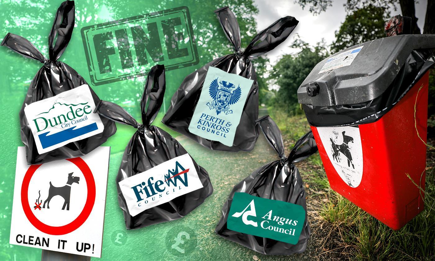 Our survey reveals P&K Council plans to drop dedicated dog poo bins