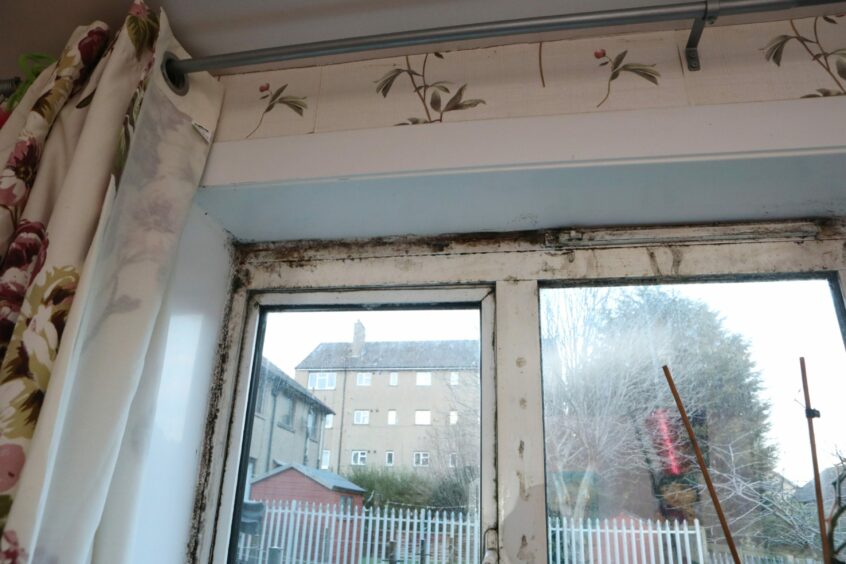 Mould around the windows of the Dundee council flat.