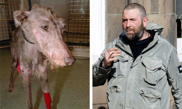 Christopher Robertson admitted animal neglect at Perth Sheriff Court