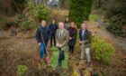 MPs on the Scottish Affairs Committee plant a tree at Glendoick Garden Centre