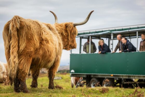 Farm tours and accommodation are the most common activities offered by agritourism businesses, according to the report.