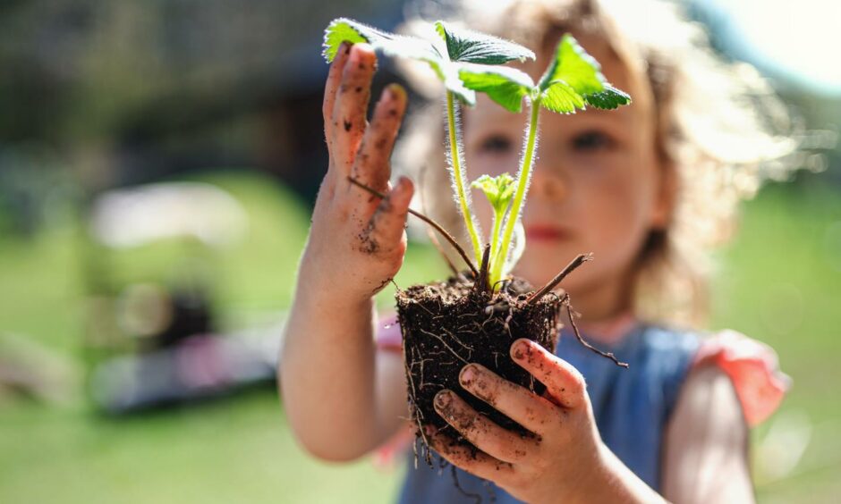 Child gardening, holding plant.