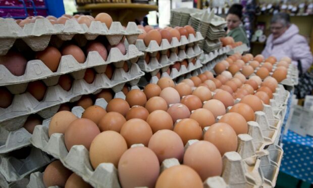 Free-range eggs will be available again but farmers say they are still in crisis.