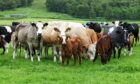 The study assessed various emissions mitigation measures for livestock farms.