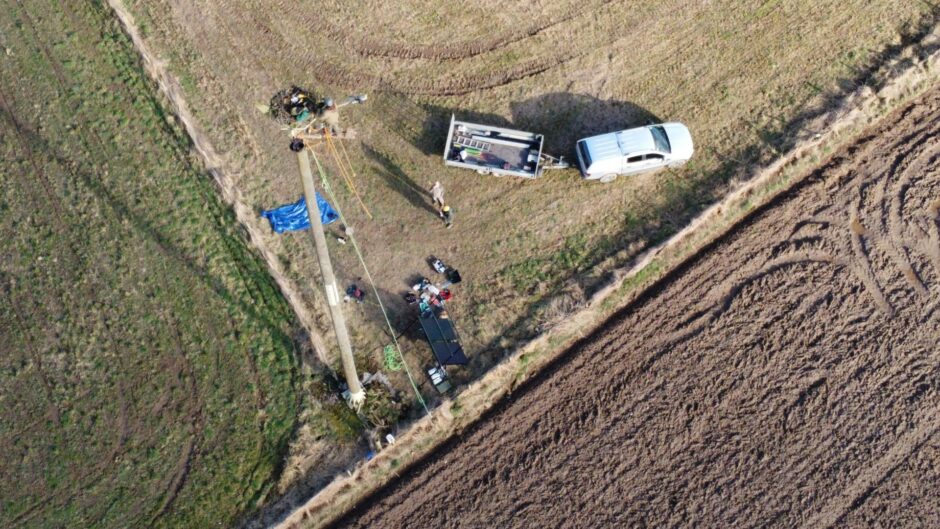 View from above the nesting area