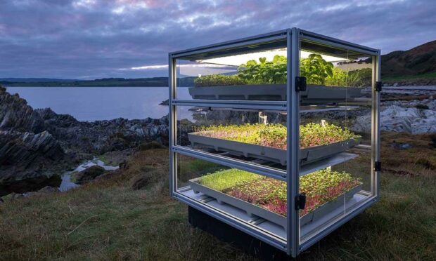 Leven is due a visit by one of Dandelion's innovative miniature vertical farms, known as Cubes of Perpetual Light.
