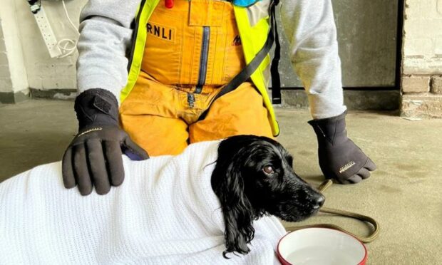 Skye after being rescued by the Arbroath lifeboat crew