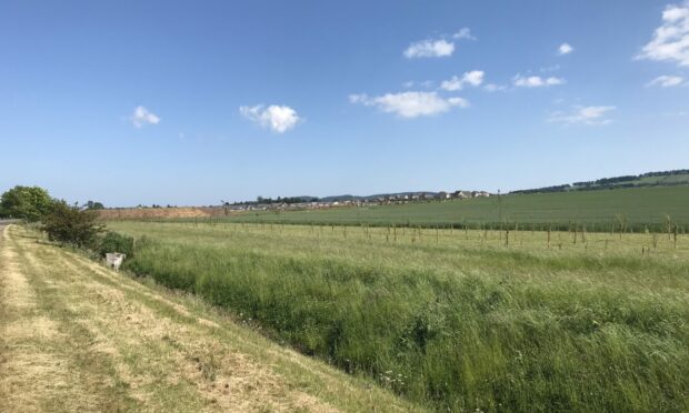 The application site looking back towards Forfar.