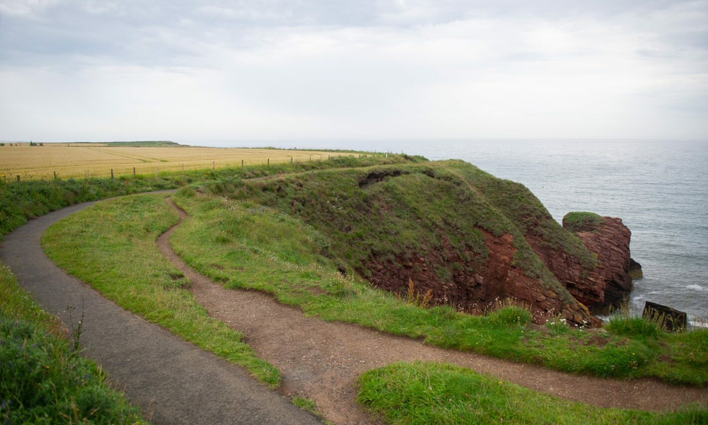Woman taken to hospital after rescue operation at Arbroath cliffs