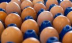 Egg industry leaders are warning of shortages unless retailers up the prices they are paid for them.