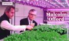 UK Government Minister Malcolm Offord was shown round the Intelligent Growth Solutions plant at the James Hutton Institute by chief operating officer Andrew Lloyd.